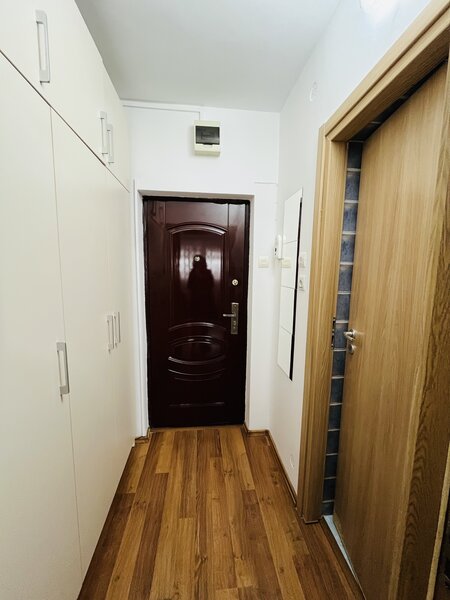 Liviu Rebreanu, ParkLake Mall, Parcul Alexandru Ioan Cuza IOR,