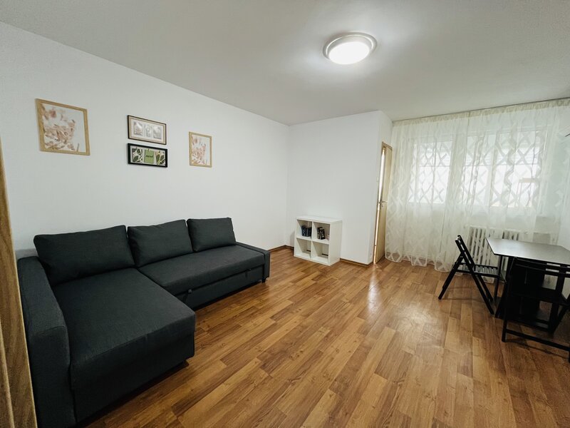 Liviu Rebreanu, ParkLake Mall, Parcul Alexandru Ioan Cuza IOR,