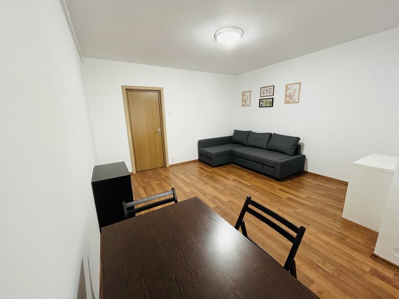 Liviu Rebreanu, ParkLake Mall, Parcul Alexandru Ioan Cuza IOR,