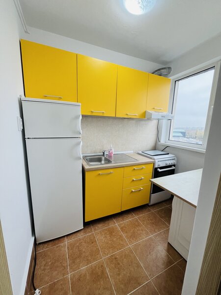 Liviu Rebreanu, ParkLake Mall, Parcul Alexandru Ioan Cuza IOR,