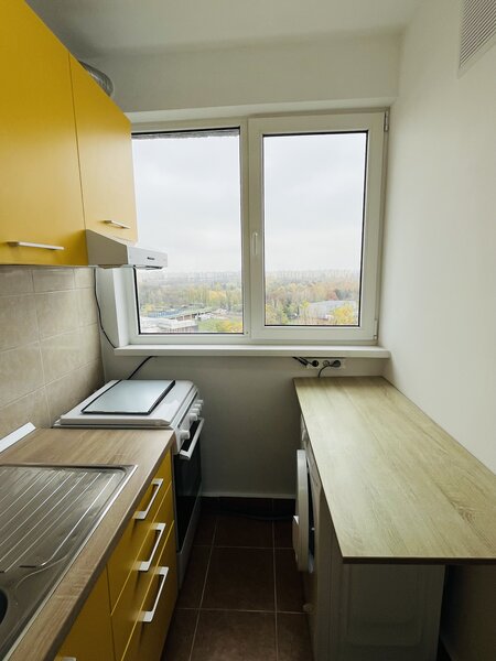 Liviu Rebreanu, ParkLake Mall, Parcul Alexandru Ioan Cuza IOR,