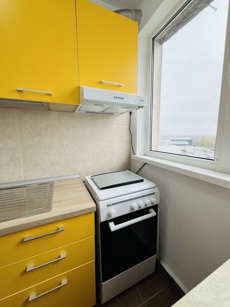 Liviu Rebreanu, ParkLake Mall, Parcul Alexandru Ioan Cuza IOR,